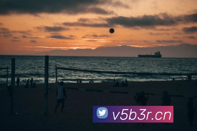 拼搏体育平台生态图